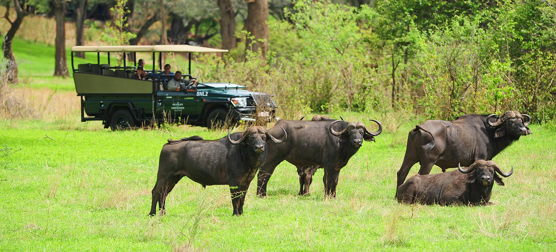 Game drive, Zambezi National Park