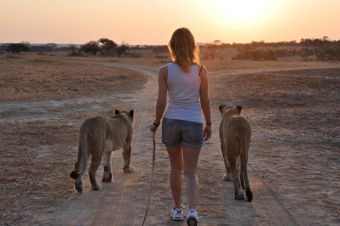 Victoria Falls + Cheetah Experience